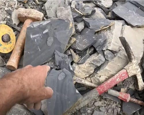 Digging for Trilobites in Utah