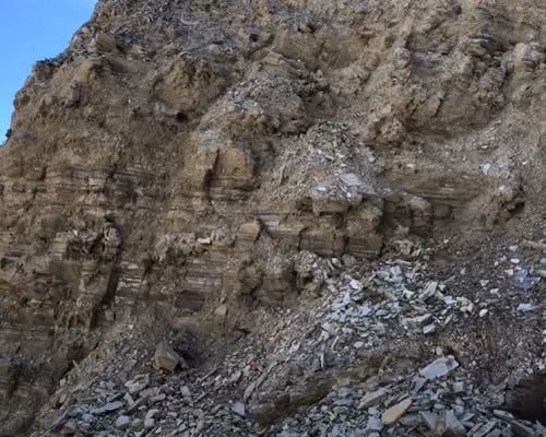 Trilobite location in Utah