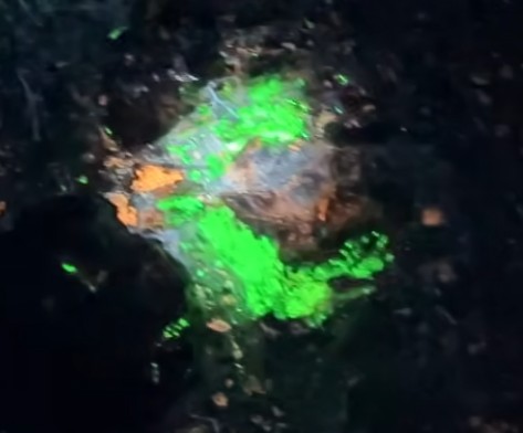 Hyalite Opal